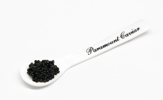 Hackleback Sturgeon | Paramount Caviar