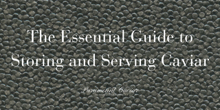 Preserving the Prestige: The Essential Guide to Storing and Serving Caviar