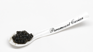 California Sturgeon | Paramount Caviar